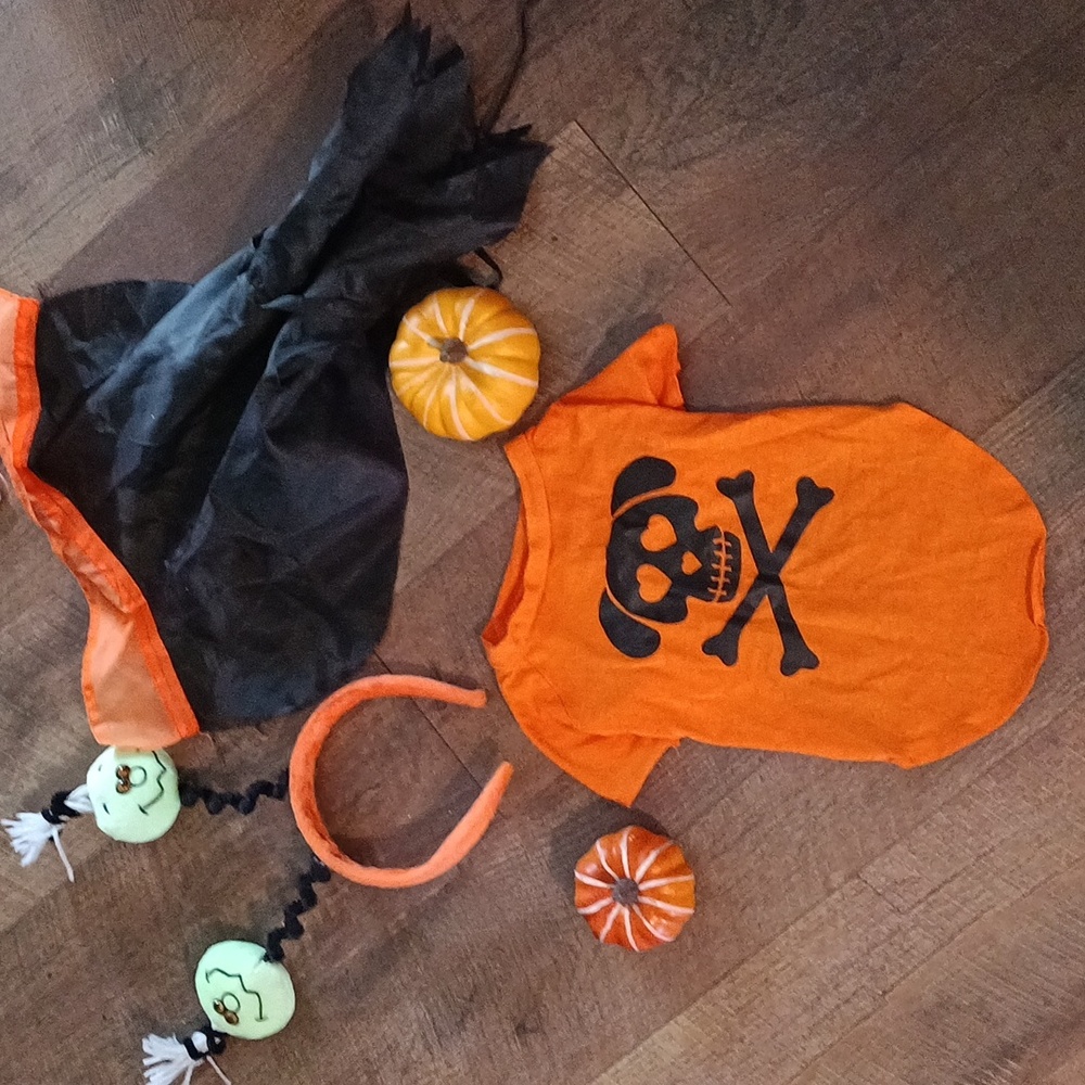 Halloween Dog Costume/tee 🖤🧡🎃